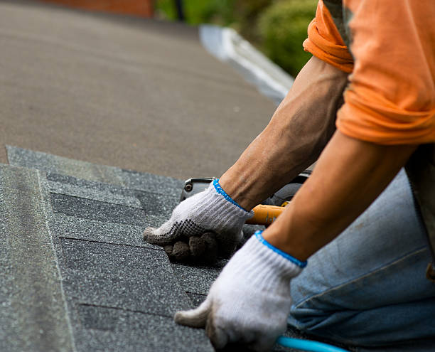Best Roof Leak Repair  in Elmira, NY